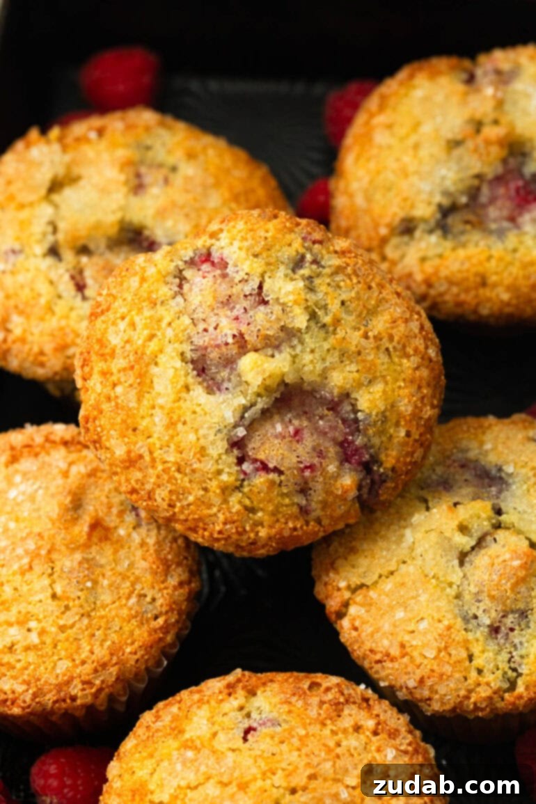 Raspberry Burst Cream of Wheat Muffins 7 A close-up of several freshly baked Cream of Wheat Muffins generously studded with whole, plump raspberries, highlighting their rustic charm.