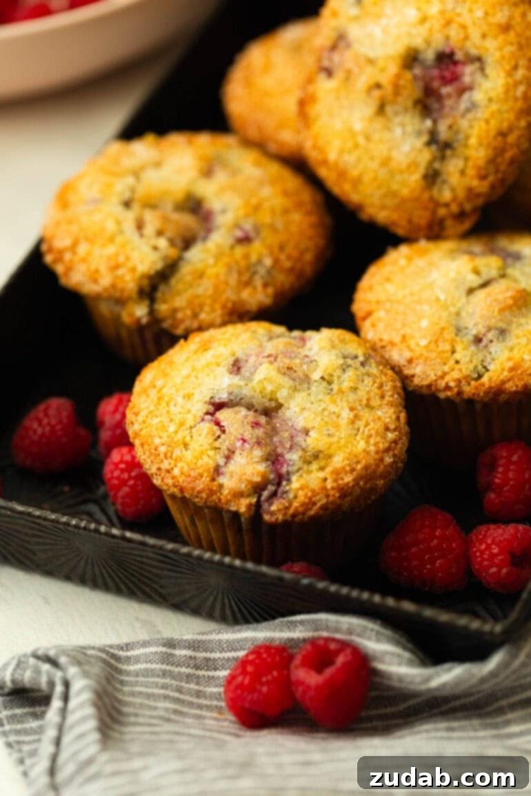 Raspberry Burst Cream of Wheat Muffins 8 A serving tray filled with freshly baked raspberry Cream of Wheat muffins, surrounded by vibrant fresh raspberries, ready to be enjoyed.