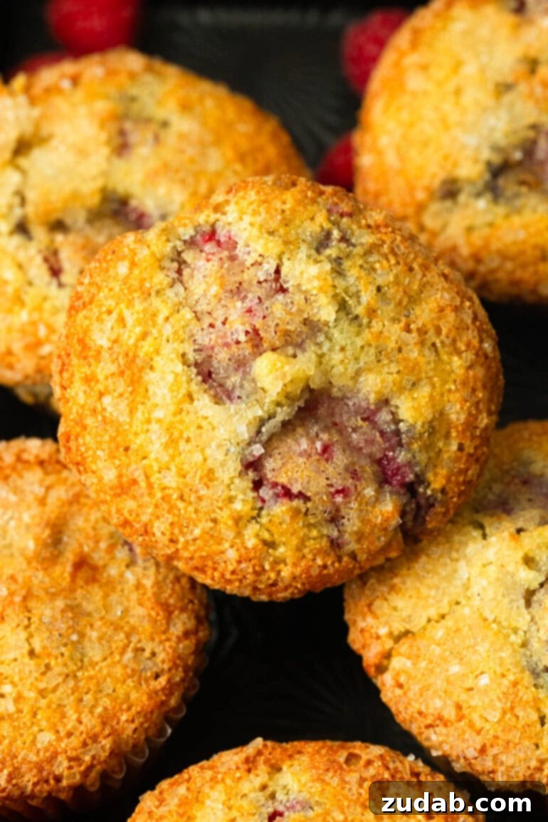 Raspberry Burst Cream of Wheat Muffins 9 A vibrant close-up photo of several Cream of Wheat Raspberry Muffins, showcasing their golden tops and the generous inclusion of raspberries.