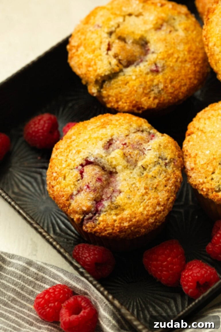 Raspberry Burst Cream of Wheat Muffins 10 A tantalizing photo of baked raspberry muffins, glistening with turbinado sugar, artfully arranged on a tray with additional muffins and fresh raspberries.
