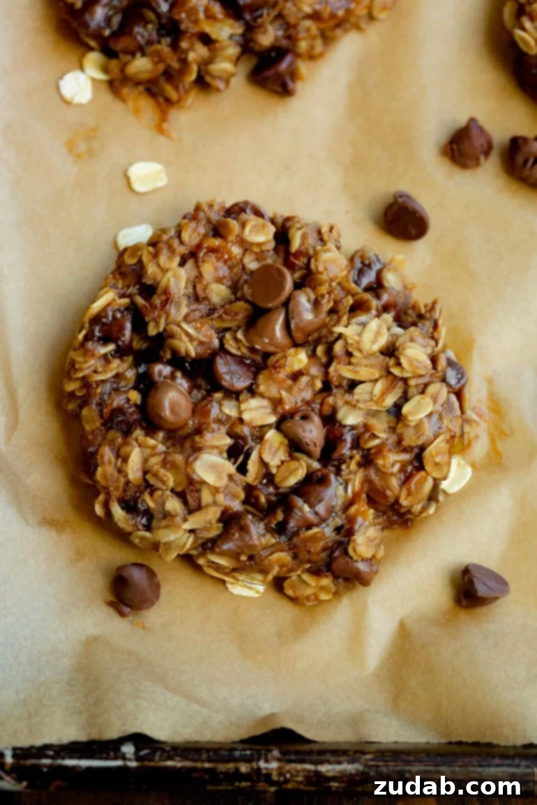 Peanut Butter and Chocolate Chip Breakfast Cookies 2 A perfectly baked peanut butter chocolate chip breakfast cookie, golden brown with melted chocolate chips visible.