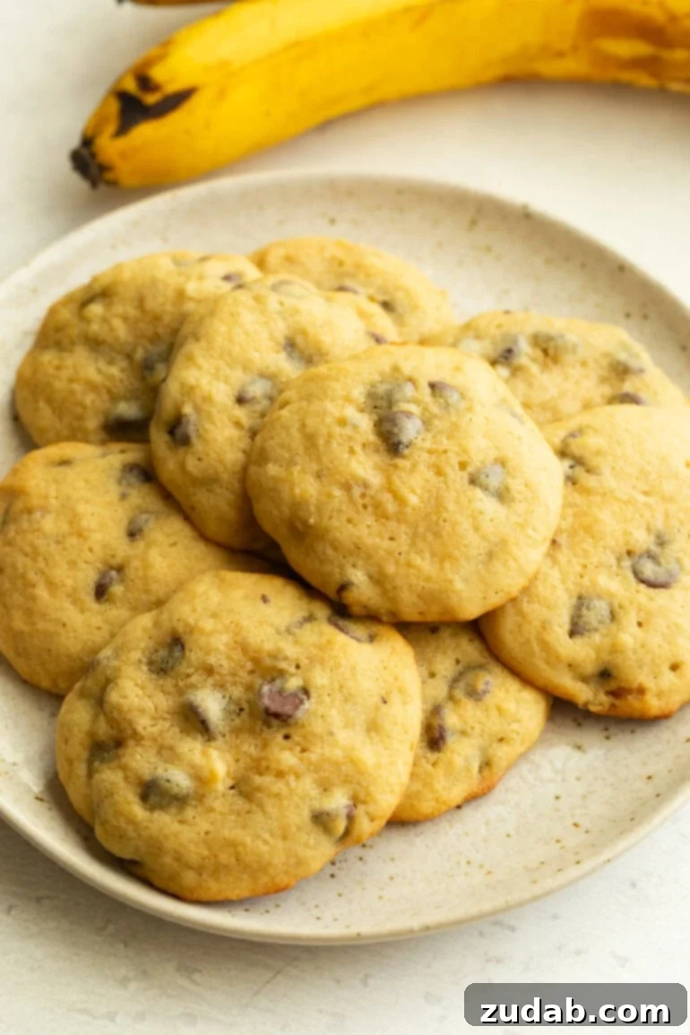 Golden Banana Chocolate Chip Delights 2 A plate full of fluffy banana cookies loaded with chocolate chips, showcasing their golden-brown edges and rich texture.