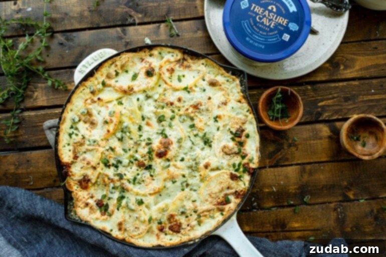Decadent Blue Cheese Potato Gratin 3 A close-up of a large cast iron skillet filled with creamy blue cheese potato casserole, freshly baked and topped with vibrant thyme sprigs, with a package of Treasure Cave Blue Cheese on the side.