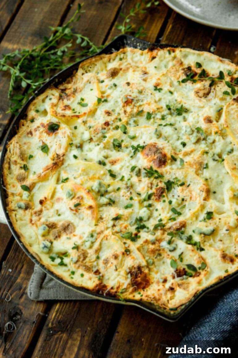Decadent Blue Cheese Potato Gratin 5 A large cast iron skillet showcases a golden-baked, creamy potato gratin casserole, topped with fresh sprigs of thyme, ready to be served.