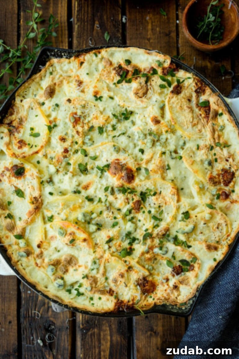Decadent Blue Cheese Potato Gratin 6 A close-up of a large skillet filled with golden-baked blue cheesy creamy scalloped potatoes, generously topped with fresh thyme.