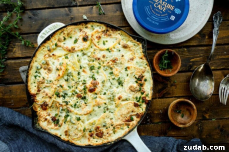 Decadent Blue Cheese Potato Gratin 7 A large cast iron skillet displays a golden-baked blue cheese potato gratin, garnished with minced fresh herbs, with a package of Treasure Cave Blue Cheese nestled beside it.