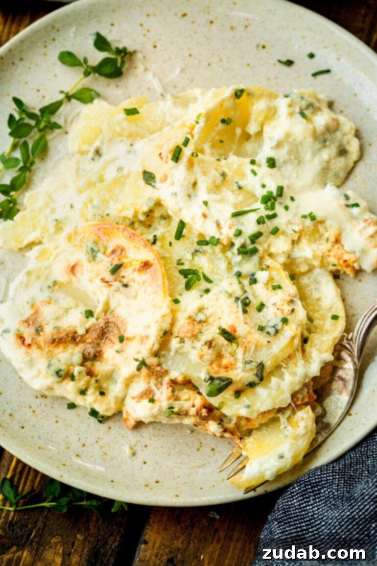 Decadent Blue Cheese Potato Gratin 8 A single serving of creamy blue cheese potato gratin, perfectly golden and garnished, presented on a white dinner plate.
