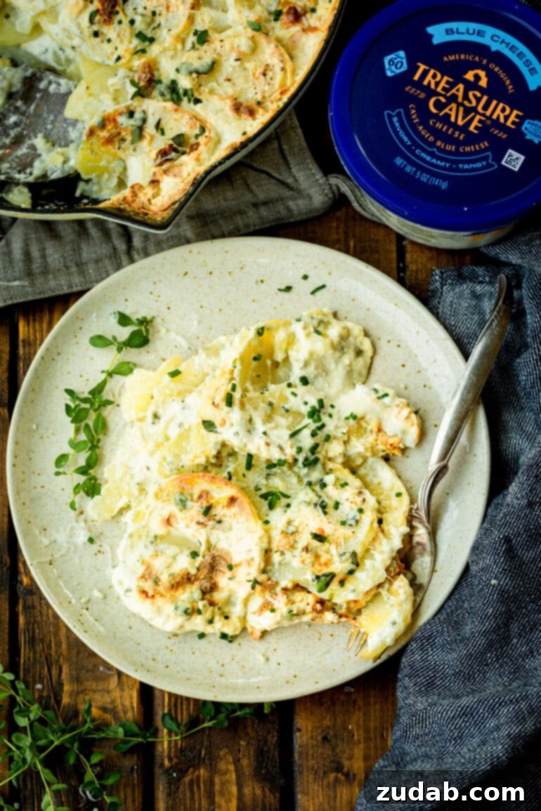 Decadent Blue Cheese Potato Gratin 9 A serving of creamy blue cheese potato gratin, fork ready, on a white dinner plate, highlighting its rich texture and herby garnish.