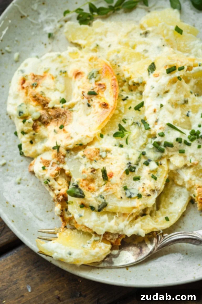 Decadent Blue Cheese Potato Gratin 10 A close-up shot of a single serving of creamy, thinly sliced cheesy potatoes, topped with a generous sprinkle of fresh herbs, ready to be enjoyed.