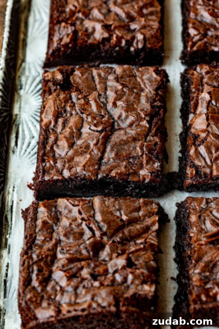 Elevated Box Brownies 7 A collection of perfectly baked homemade chocolate brownies, each adorned with a distinct, appealing crinkle top.