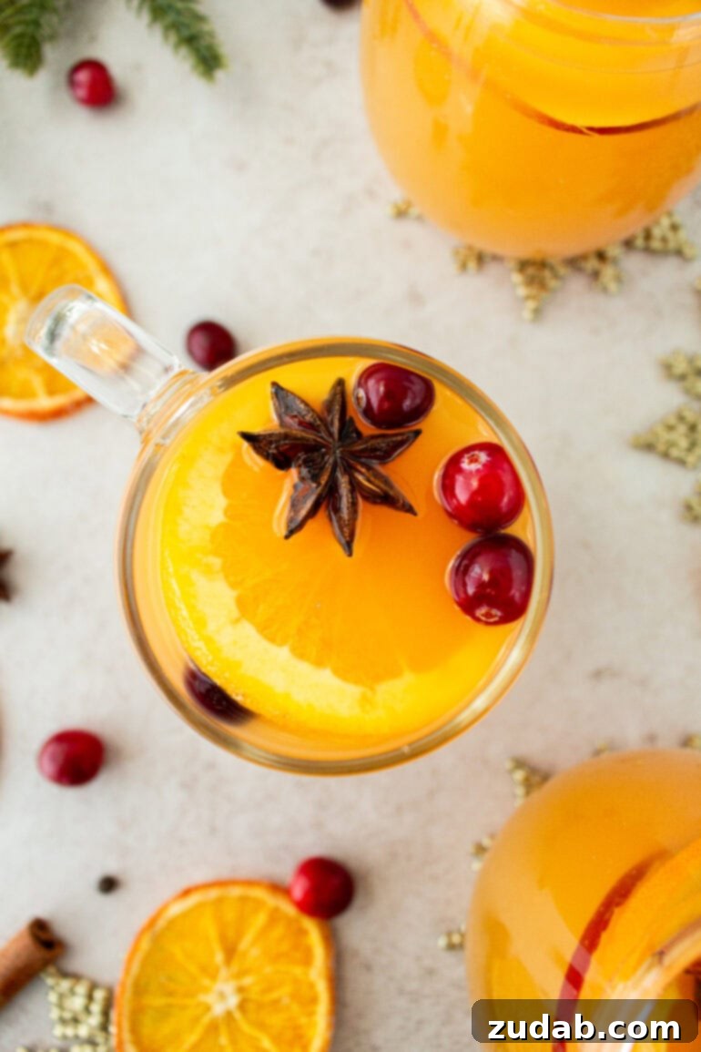 Wassail Made Simple 11 a photo taken over the top of a clear glass mug topped with a slice of orange, star anise and whole cranberries