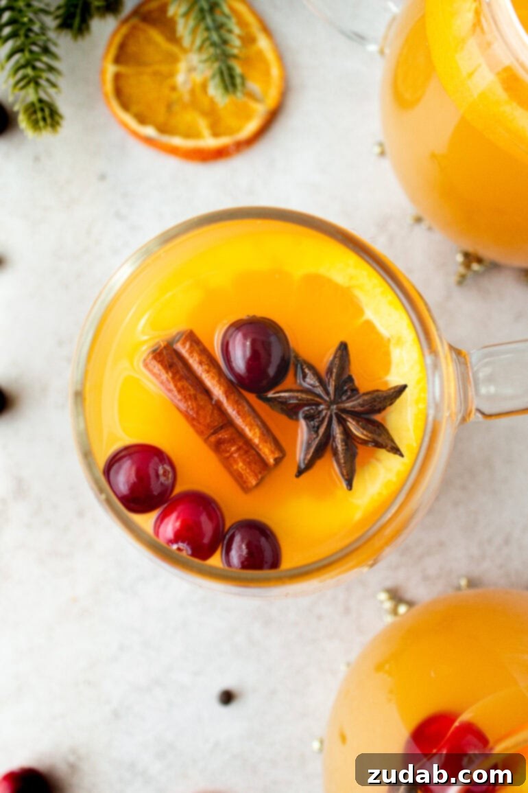 Wassail Made Simple 12 a photo taken over the top of a glass mug filled with wassail topped with floating whole cranberries, star anise, cinnamon stick and a slice of orange