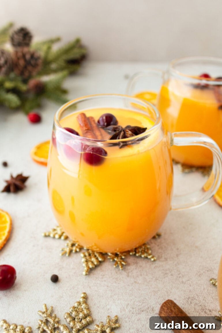 Wassail Made Simple 13 a photo of a glass mug full of bright orange homemade wassail topped with whole cranberries and chunk of cinnamon stick and star anise