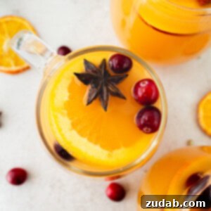 Wassail Made Simple 14 a photo taken over the top of a glass mug full of bright orange homemade wassail topped with floating whole cranberries and star anise
