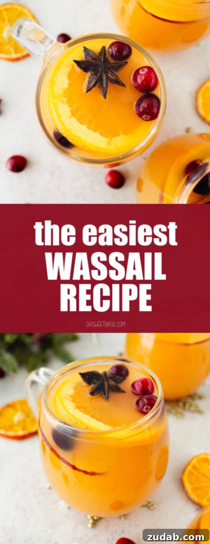 Wassail Made Simple 15 a photo taken over the top of a clear glass mug topped with a slice of orange, star anise and whole cranberries