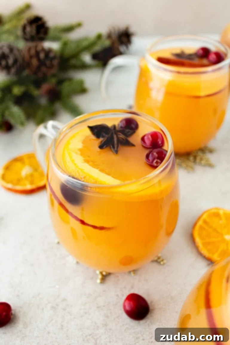 Wassail Made Simple 3 a photo of a clear glass mug of bright orange homemade wassail with a slice of orange on top and whole cranberries