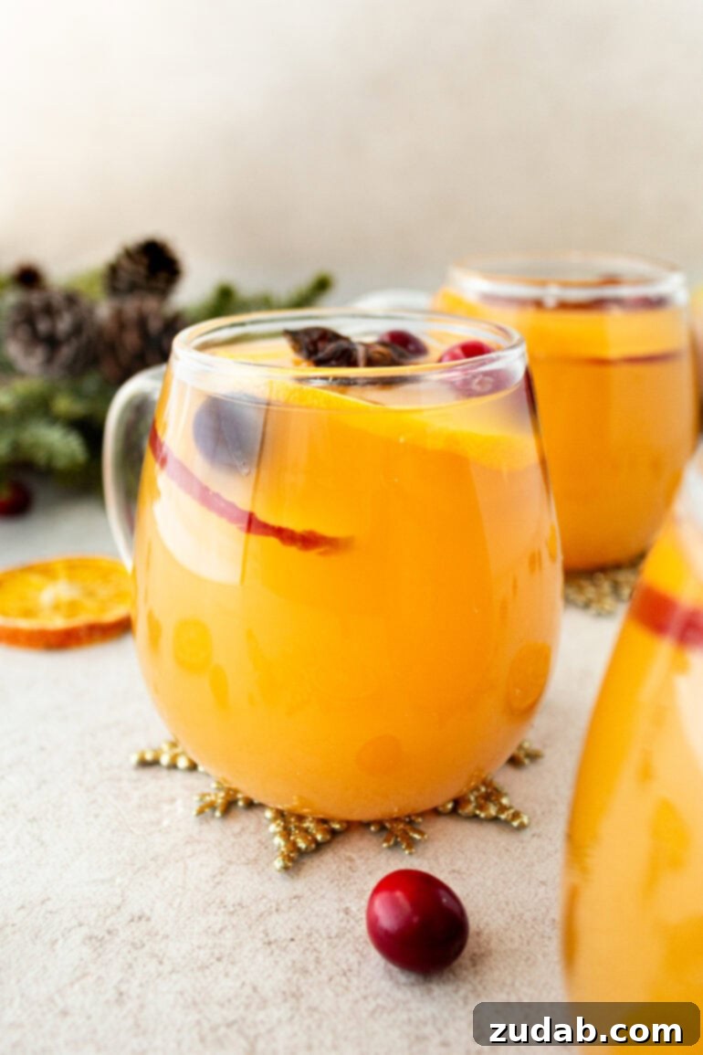 Wassail Made Simple 5 a photo taken from the side of a clear glass mug full of bright orange homemade wassail
