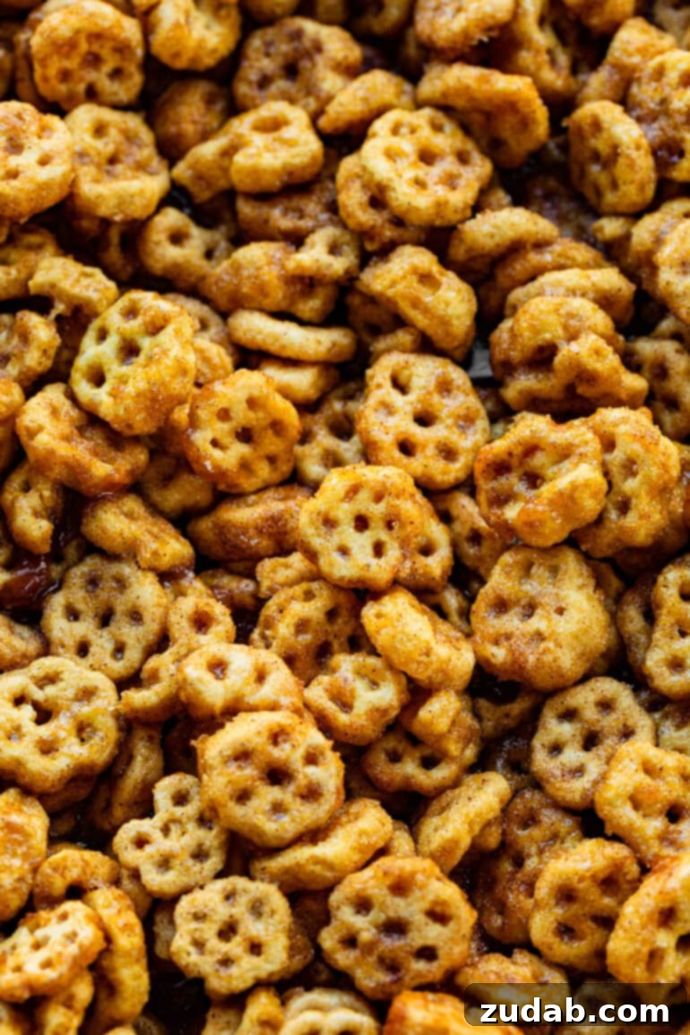 Easy No-Bake Churro Crunch 8 a photo of cinnamon sugar and caramel coated honeycomb cereal