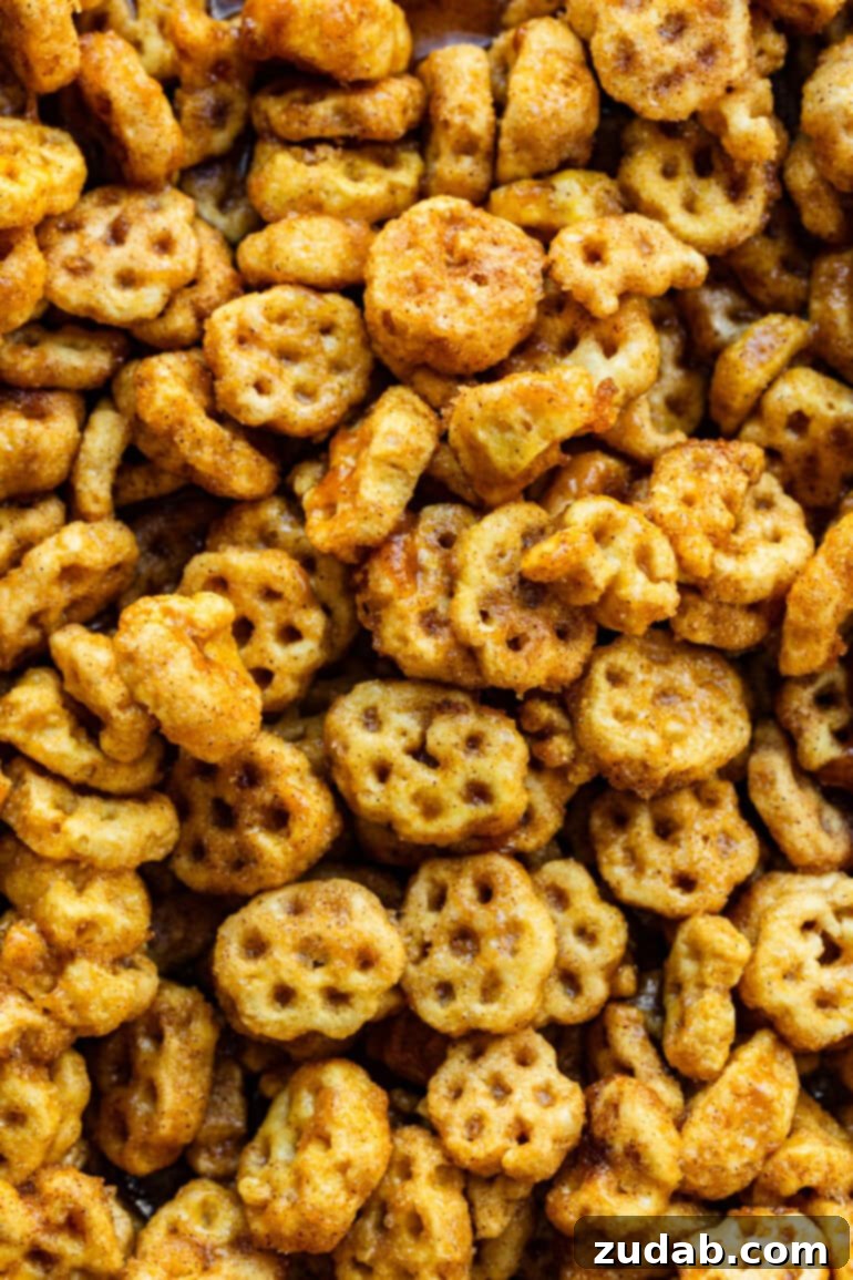 Easy No-Bake Churro Crunch 10 a photo of honeycomb cereal coated in caramel and cinnamon sugar