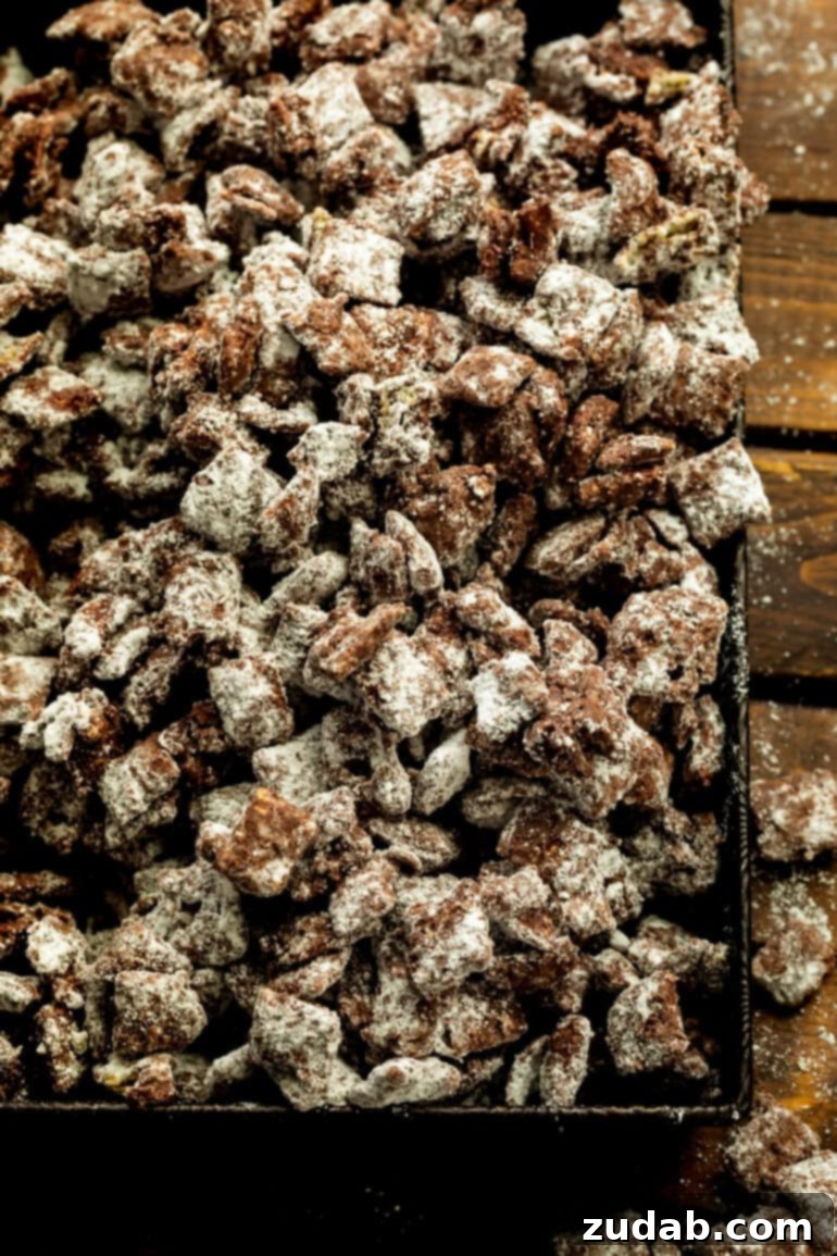 Decadent Dark Chocolate Peanut Butter Muddy Buddies 2 powdered sugar coated dark chocolate muddy buddies in a shallow serving tray on a wooden table