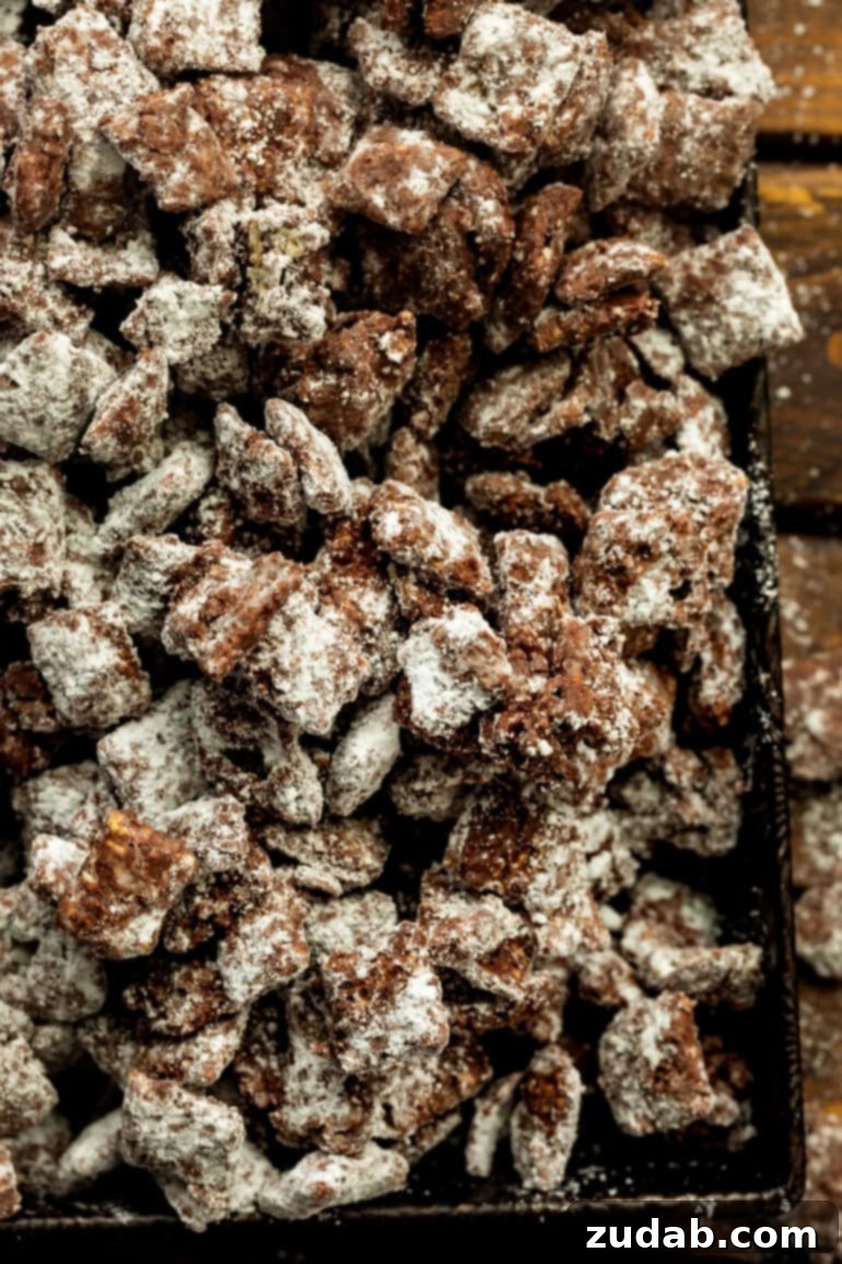 Decadent Dark Chocolate Peanut Butter Muddy Buddies 10 a serving tray full of dark chocolate muddy buddy chex mix