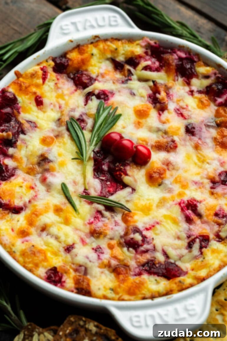 Baked Cranberry Bliss Dip 2 A circular baking dish filled with golden-brown baked cranberry cream cheese dip, garnished with fresh rosemary and whole cranberries, ready to serve.