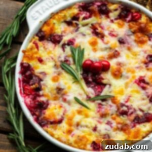 Baked Cranberry Bliss Dip 11 A deliciously baked cranberry dip, featuring gooey cheese and vibrant cranberries, presented in a rustic dish.