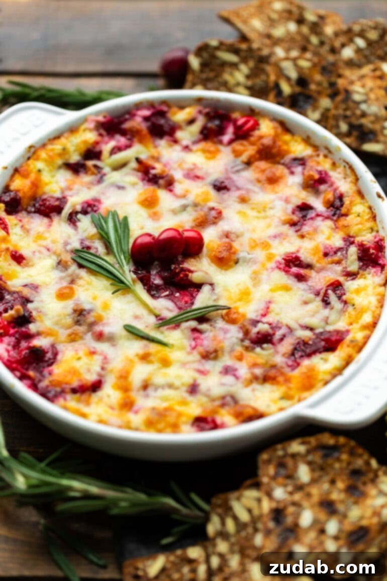 Baked Cranberry Bliss Dip 3 A circular cast iron baking dish showcasing a warm, melty, and gooey cranberry cream cheese dip, artfully topped with a sprig of fresh rosemary and a scattering of bright red cranberries.