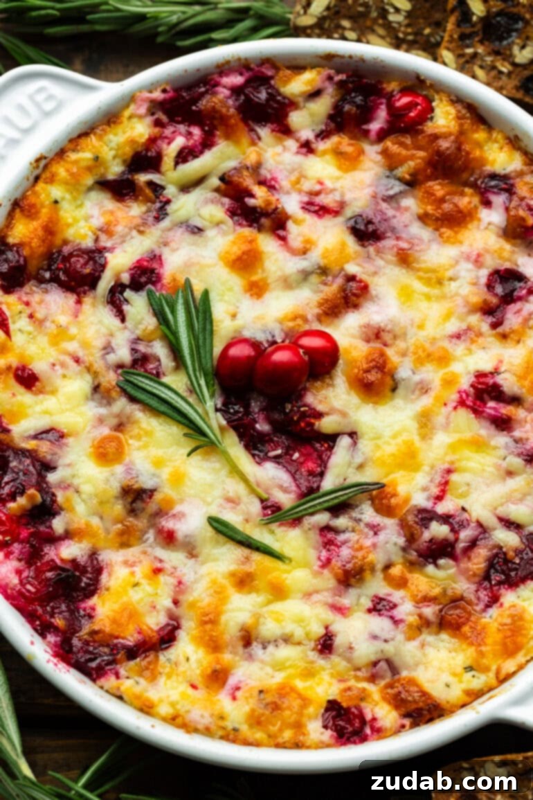 Baked Cranberry Bliss Dip 7 Close-up of a melty, bubbly cheese and cranberry cream cheese dip in a circular baking dish, garnished with fresh rosemary and whole cranberries.
