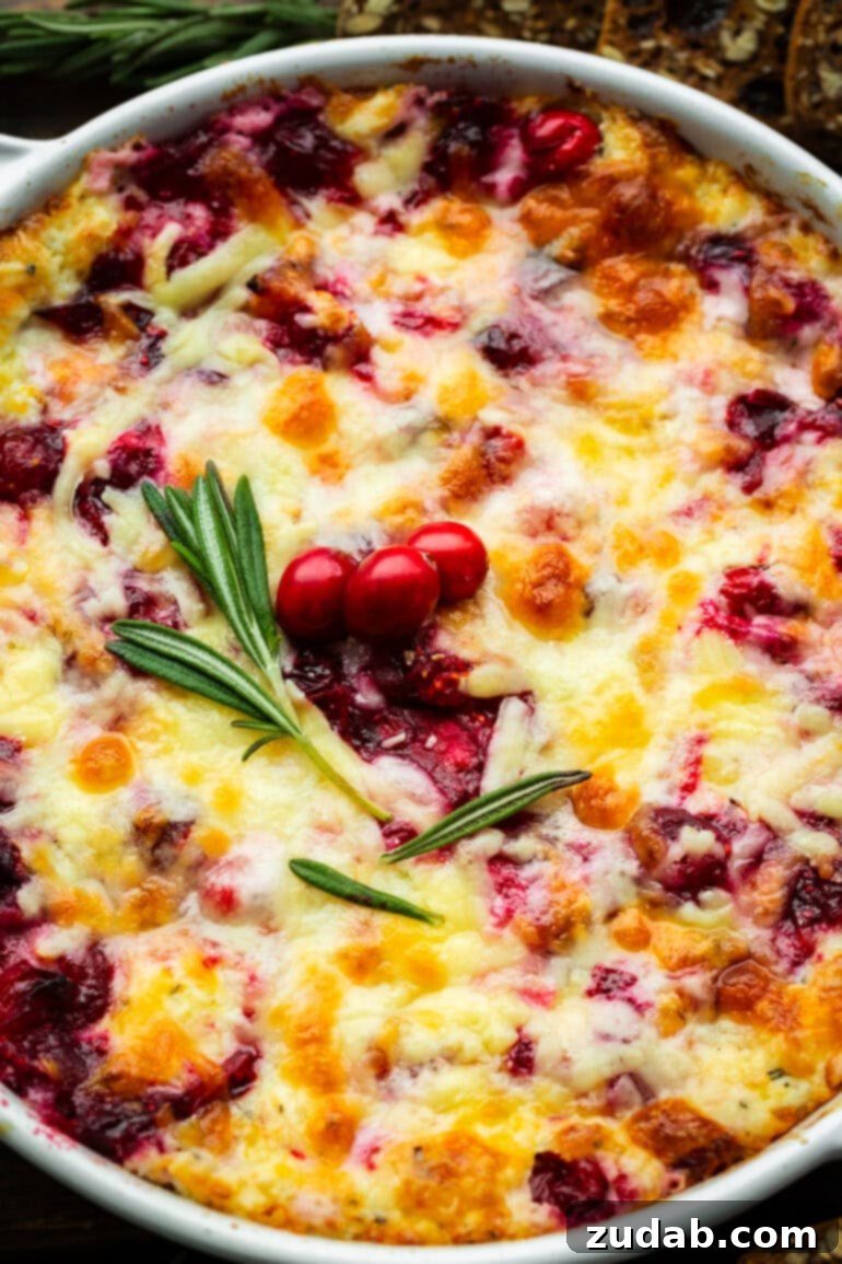 Baked Cranberry Bliss Dip 10 A beautifully baked cranberry cream cheese dip, generously topped with melted golden cheese, a delicate sprig of fresh rosemary, and three vibrant whole cranberries, showcasing its festive appeal.
