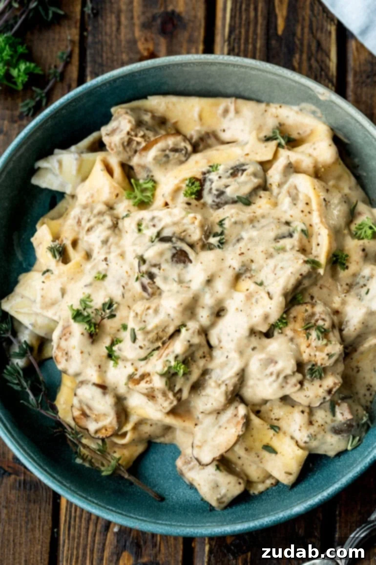 Effortless Slow Cooker Beef Stroganoff 2 Bowl of creamy beef stroganoff with egg noodles and mushrooms