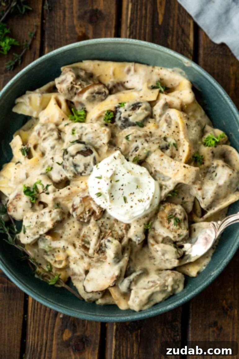 Effortless Slow Cooker Beef Stroganoff 6 Bowl of crock pot beef stroganoff with sour cream