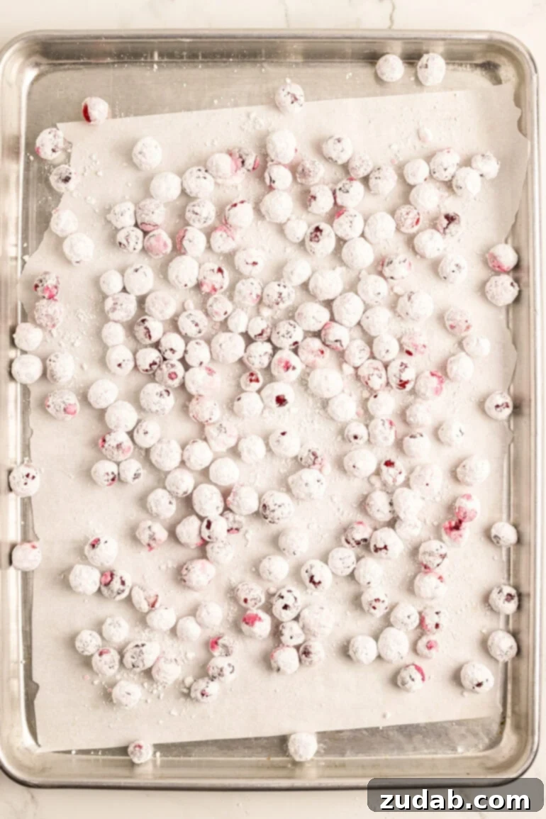 Sparkling Sweet Tart Cranberry Craze 7 Close-up of freshly baked and frosted candied cranberries, sparkling and ready to enjoy.