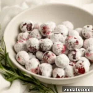 Sparkling Sweet Tart Cranberry Craze 10 A small bowl of sugar-coated whole cranberries with a sprig of fresh rosemary laying next to it, ready to be served.