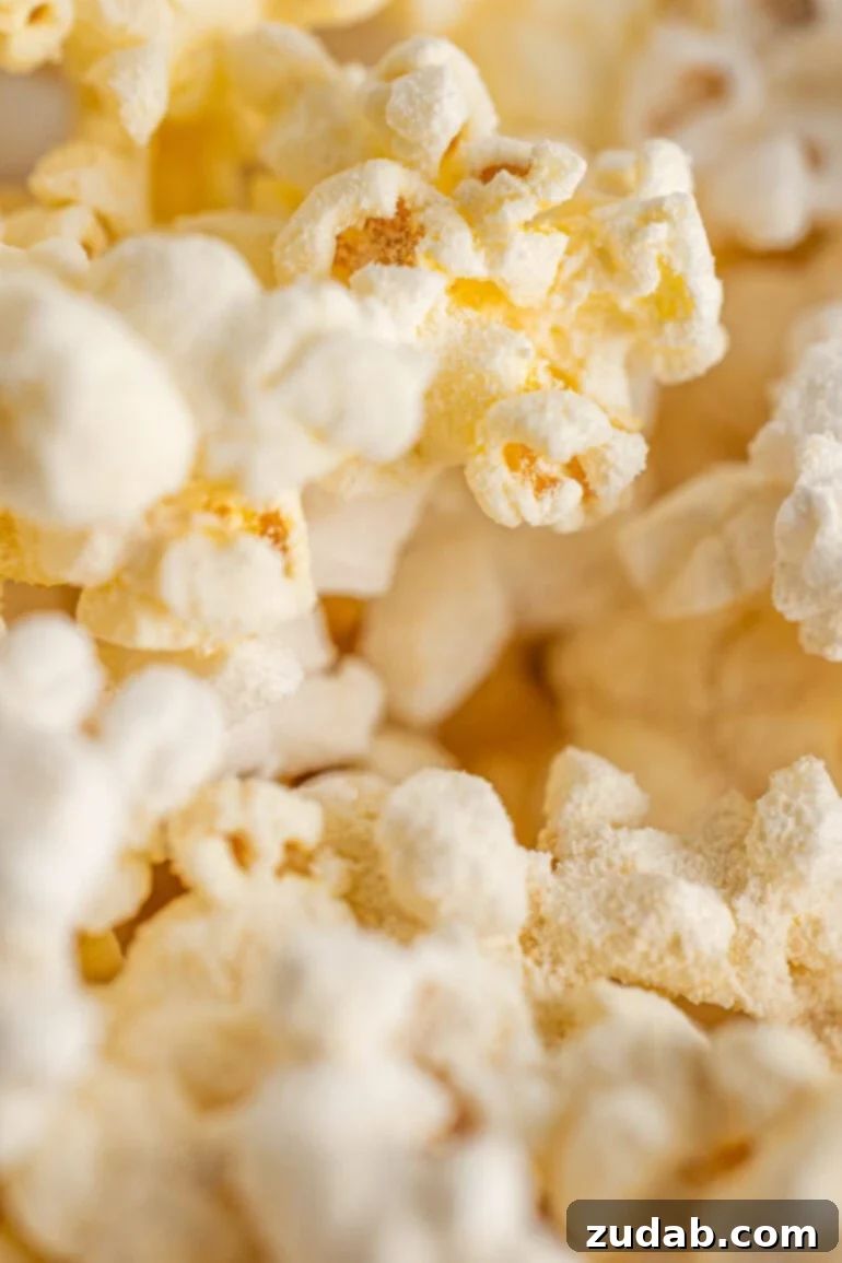 Signature Caramel Popcorn Blend 9 Popped popcorn coated in caramel popcorn seasoning.