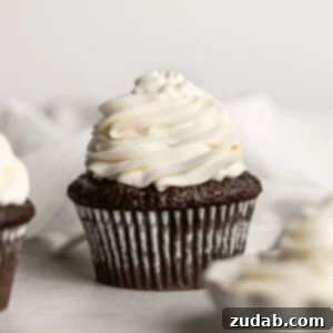 A photo of a single chocolate cupcake topped with a heaping mound of creamy piped whipped cream cheese frosting.