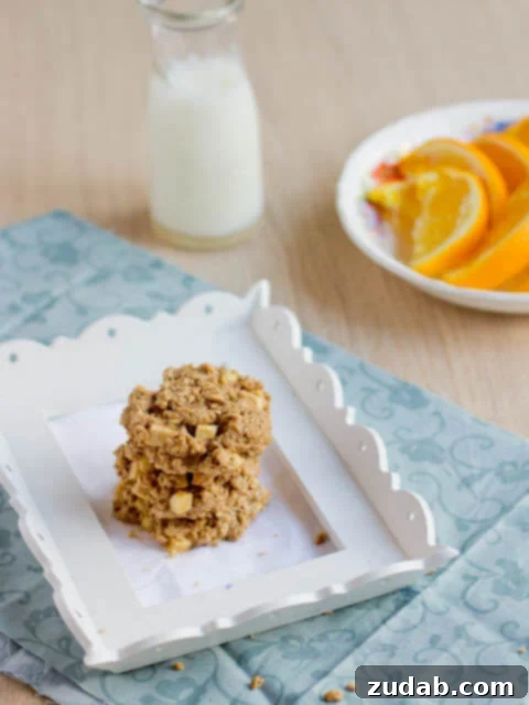 Coconut Almond Bliss Protein Shake 14 Peanut+Butter+Breakfast+Cookies-4
