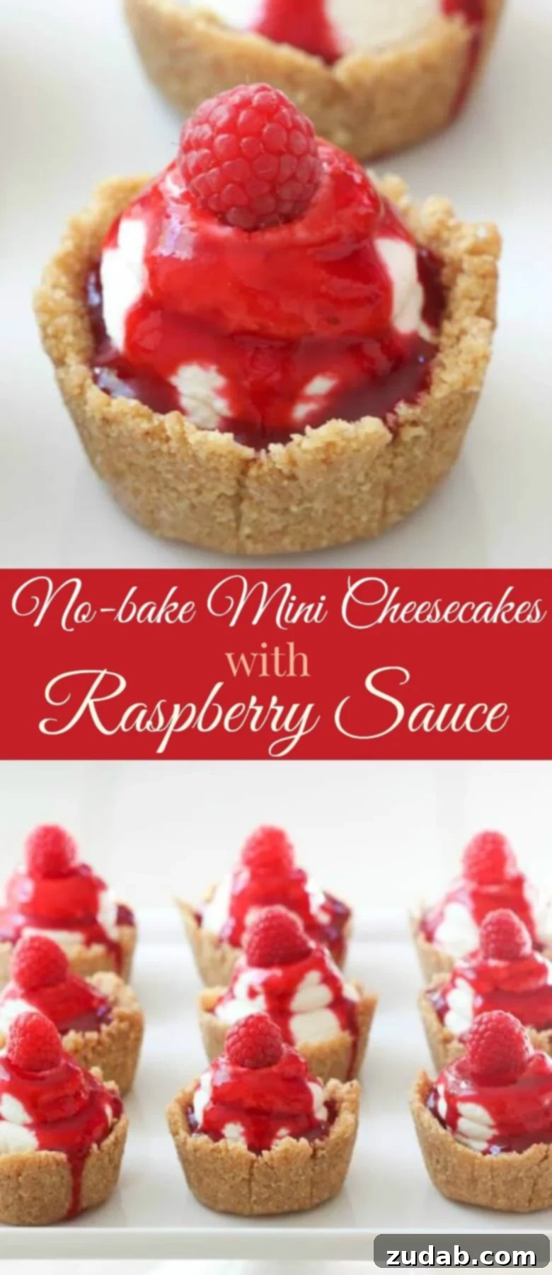 Quick & Creamy No-Bake Raspberry Mini Cheesecakes 2 Beautifully arranged no-bake mini cheesecakes with raspberry sauce for a dessert table