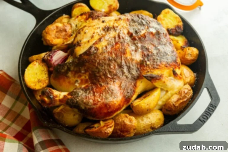 Garlic Butter Roasted Chicken and Crispy Potatoes 2 A large cast iron skillet holding a perfectly roasted whole chicken, surrounded by golden, crispy roasted Yukon Gold potatoes.