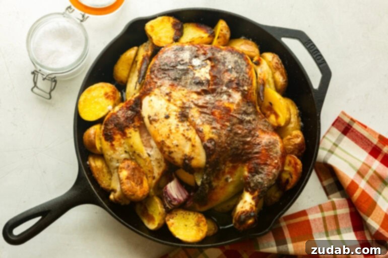 Garlic Butter Roasted Chicken and Crispy Potatoes 6 A large cast iron skillet filled with a beautifully roasted whole chicken surrounded by golden, crispy potatoes, ready to be served.