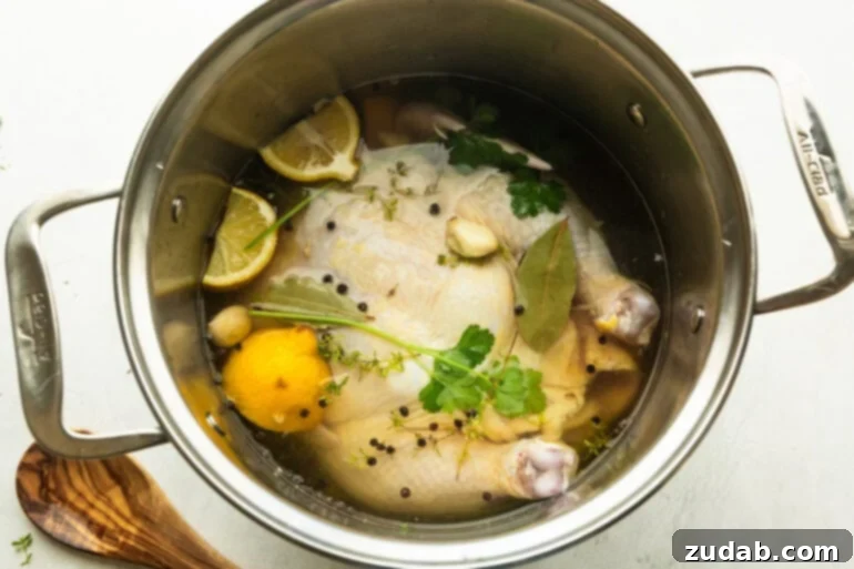 Best Chicken Brine Recipe for a Succulent Roast 2 A whole uncooked chicken submerged in brining liquid with lemons, herbs, and peppercorns