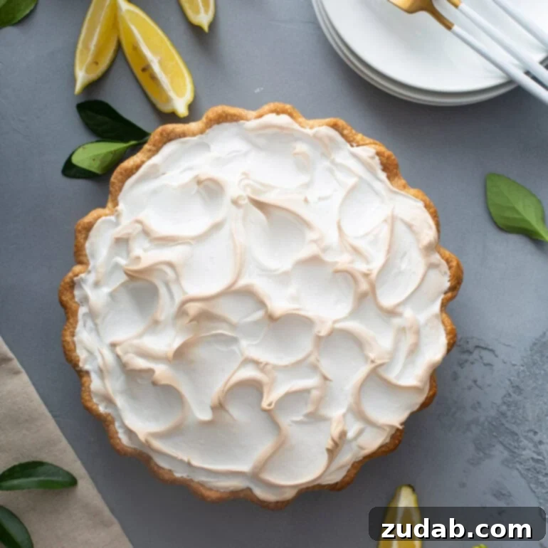 Carrian's Best Loved Pies 2 Sunny Lemon Meringue Pie with toasted meringue