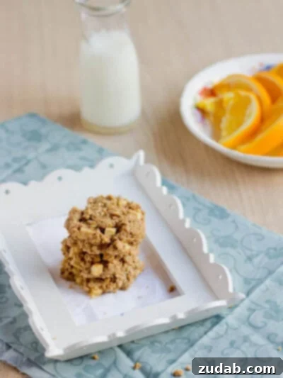 Strawberry Cream Protein Power Breakfast 4 Healthy Peanut Butter Breakfast Cookies