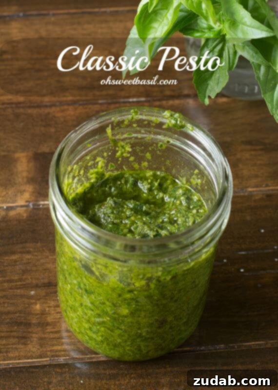 Grow Your Best Tomatoes: 5 Tips and a Delicious Gratin 6 Classic Basil Pesto with toasted garlic that's ready in 10 minutes ohsweetbasil