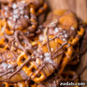 We cannot stop munching on these salted caramel pretzel snaps! They only take a couple of ingredients and no time at all to make! ohsweetbasil.com