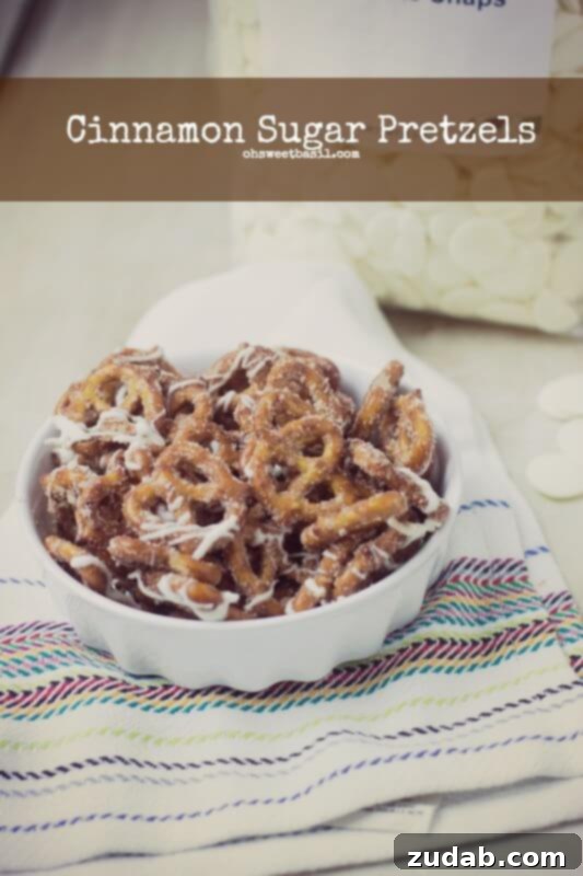 Cinnamon Sugar Pretzels - A Classic Sweet Treat