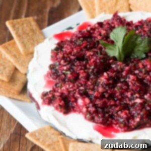 The ultimate holiday appetizer, cranberry cream cheese dip