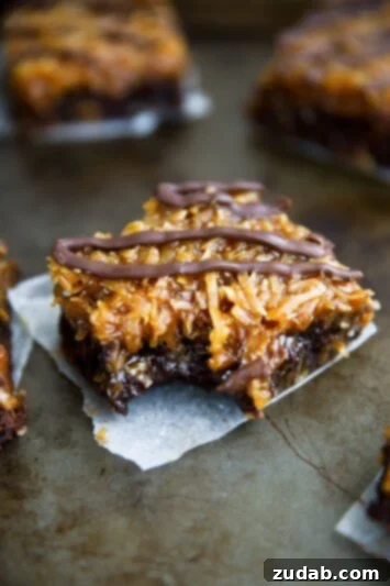 Decadent Blackberry Cheesecake Bars 4 Samoas Brownies from BromaBakery.com, showcasing a rich, caramel and coconut topped brownie.