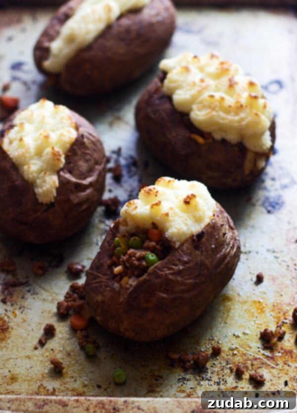 Shepherd's Pie Twice Baked Potatoes Assortment of Shepherd's Pie Twice Baked Potatoes, showcasing their appealing presentation and comforting essence, ready for a cozy meal.