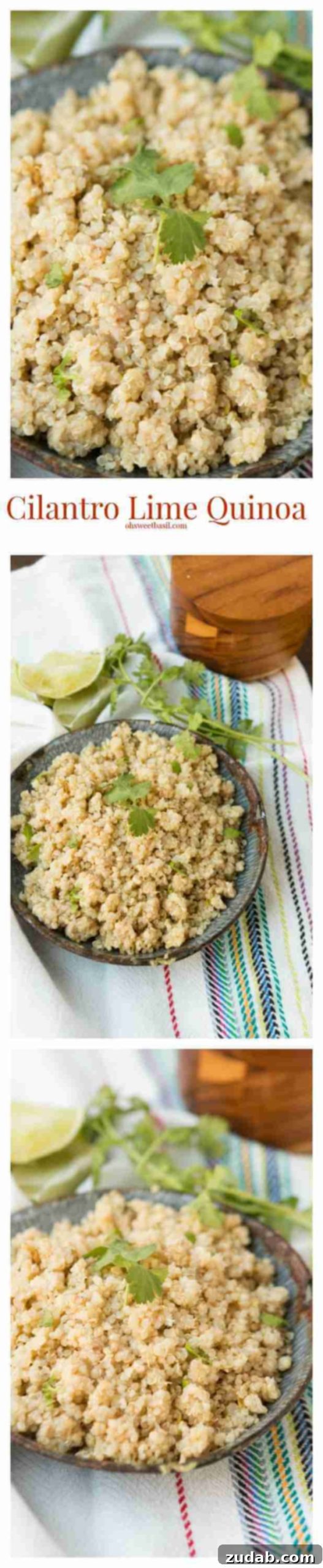 Easy cilantro lime quinoa for a healthier side that the kids totally thought was rice! ohsweetbasil.com